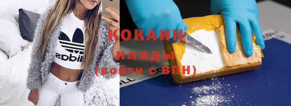 крисы Баксан