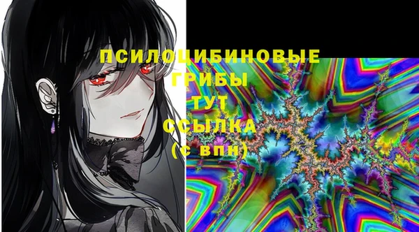 крисы Баксан
