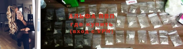 крисы Баксан