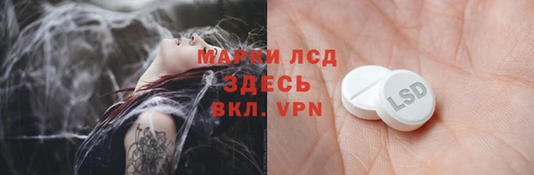 крисы Баксан