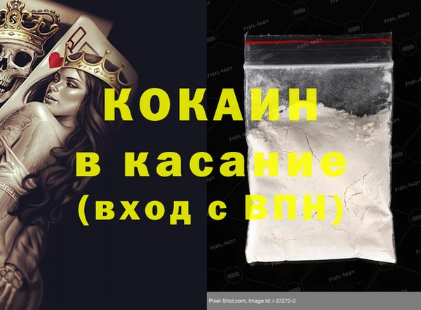 крисы Баксан