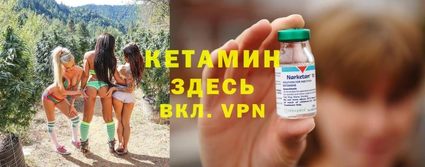 крисы Баксан