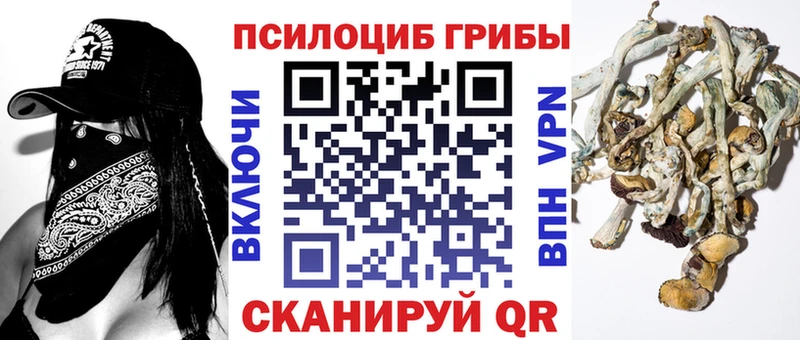 Псилоцибиновые грибы MAGIC MUSHROOMS  Зарайск 